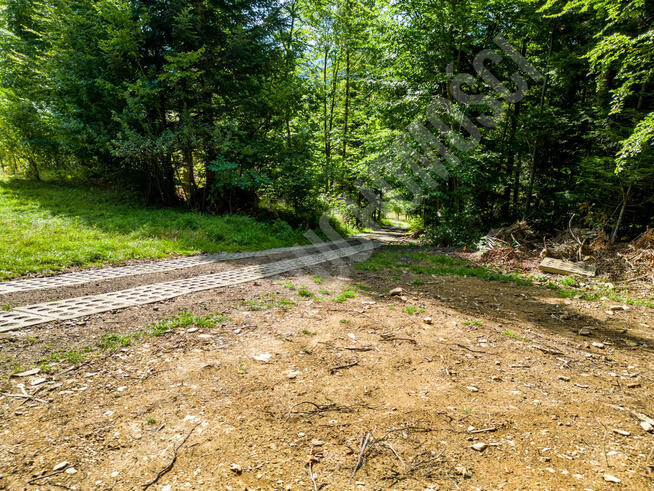 Widokowa działka w Zawoi przy lesie