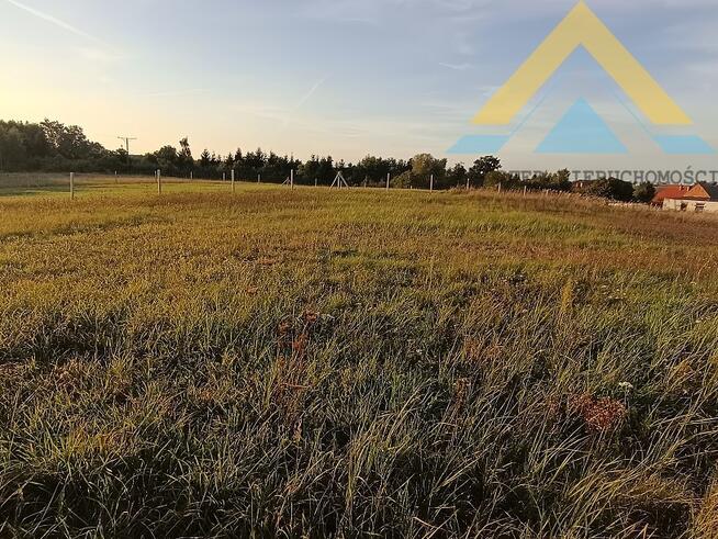 Działka rolna z potencjałem 2986 m2 , 79 tys.!