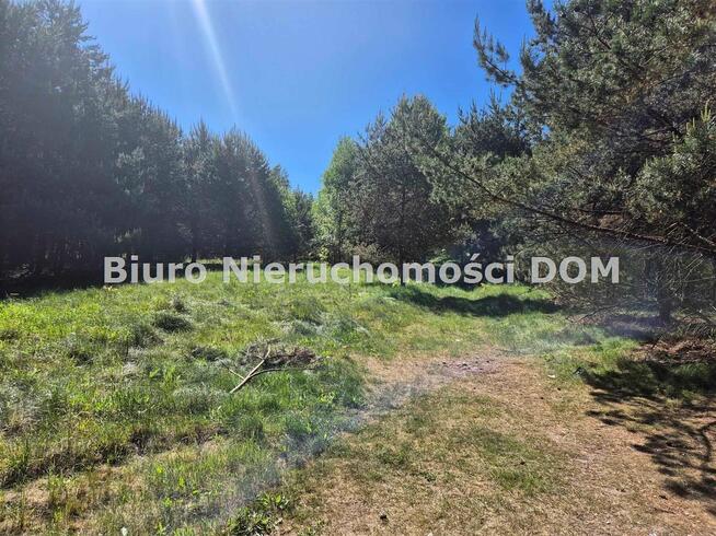 Działka inwestycyjna Jamki gm. Konopiska