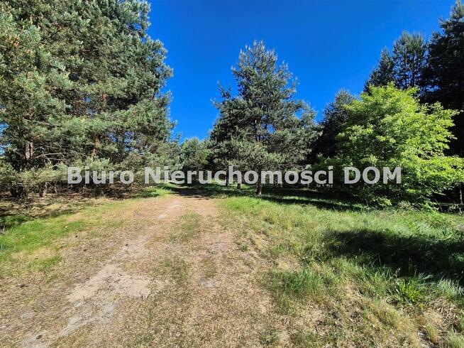 Działka inwestycyjna Jamki gm. Konopiska