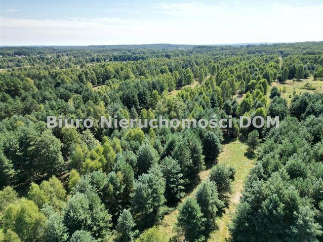 Działka inwestycyjna Jamki gm. Konopiska