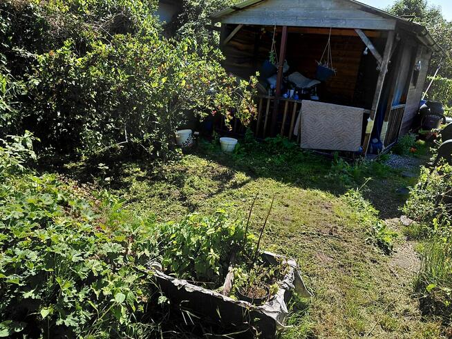 Działki ogrodowe Rod