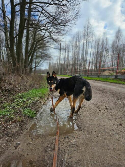 Jedna NUTKA, tysiąc chwil – daj jej dom!