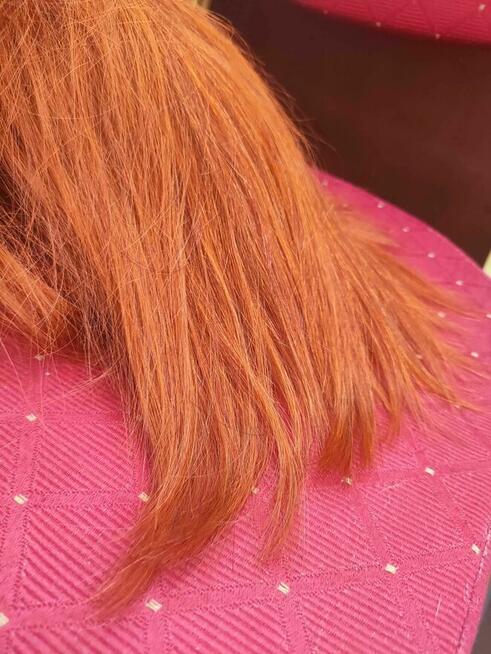 Peruka dla Kobiet Ruda Włosy Rude Damska 42