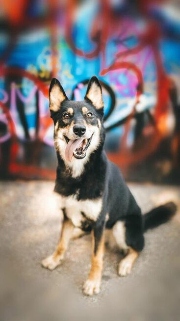 Jedna NUTKA, tysiąc chwil – daj jej dom!