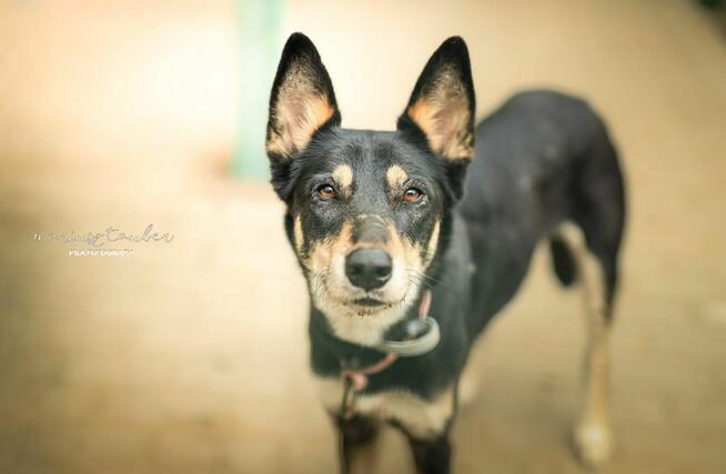 Jedna NUTKA, tysiąc chwil – daj jej dom!