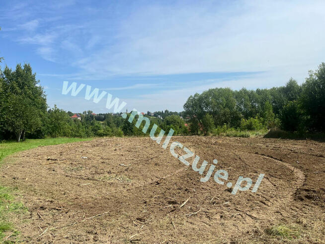 Mulczowanie w Trzebini. Tel. 575-747-470 Karczowanie działek