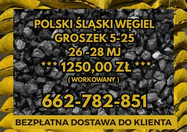 POLSKI WĘGIEL : GROSZEK 5-25, 26-28MJ - Transport Gratis !!!