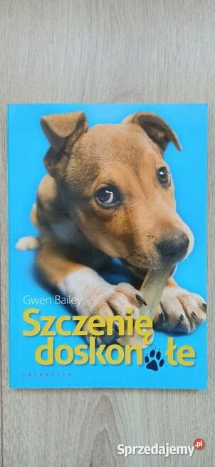 Szczenię doskonałe - Gwen Bailey