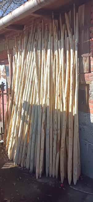 Palik tyczki do drzewek, malin i na ogrodzenie