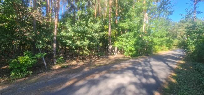 Działka Władysławów Żabia Wola 2000m