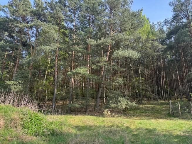 Działka na sprzedaż Zielona Góra Racula