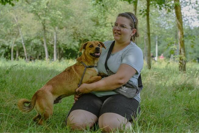 Marco-rudy mały pies czeka na dom-adoptuj