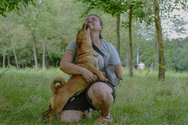 Marco-rudy mały pies czeka na dom-adoptuj