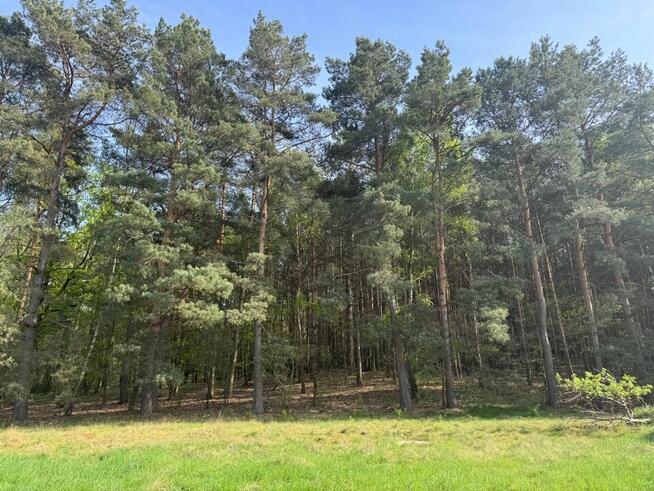 Działka na sprzedaż Zielona Góra Racula