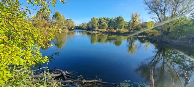 Szukam bratniej duszy:):):):):