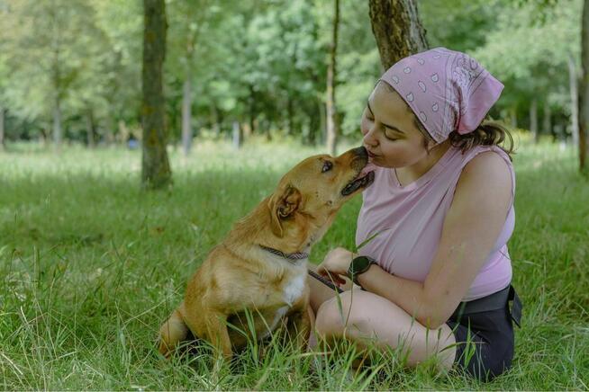 Marco-rudy mały pies czeka na dom-adoptuj