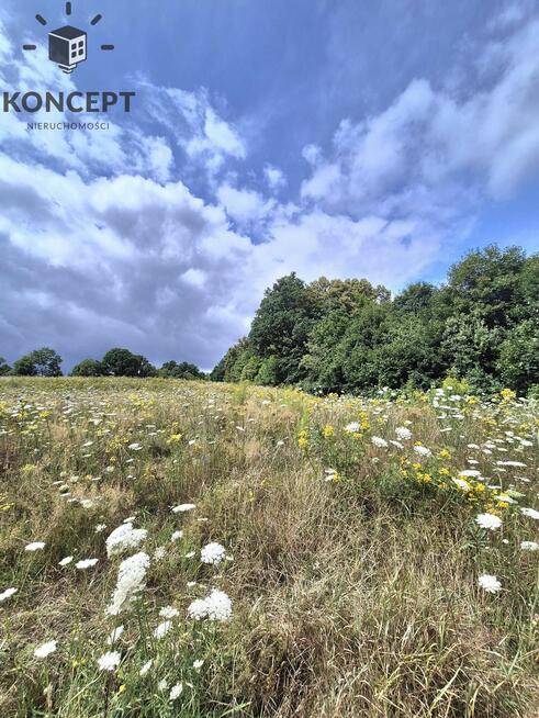 Działka na sprzedaż.