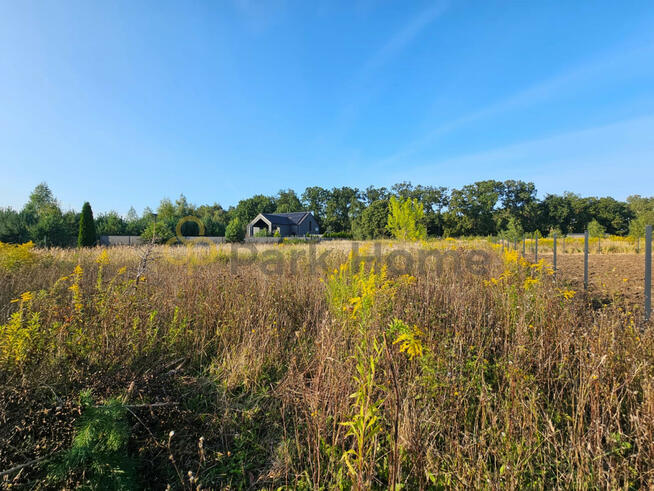 Działka budowlana Zbrudzewo gm. Śrem,