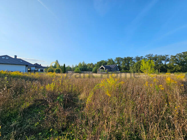 Działka budowlana Zbrudzewo gm. Śrem,