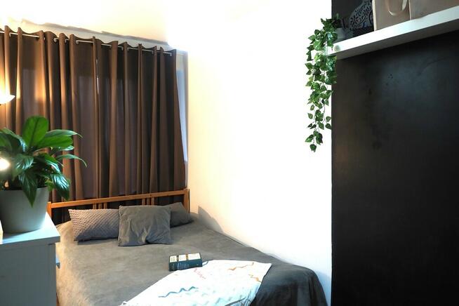 3-pokojowe mieszkanie na parterze – Bełchatów