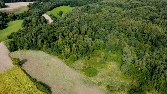 Działka Buków gm. Mogilany