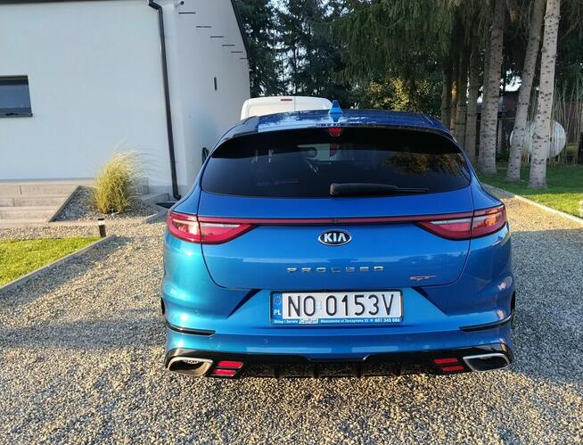 Kia Proceed GT 204 KM