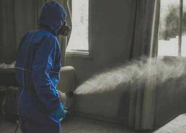 Odpluskwianie, dezynsekcja, pluskwy, mieszkania, hotele