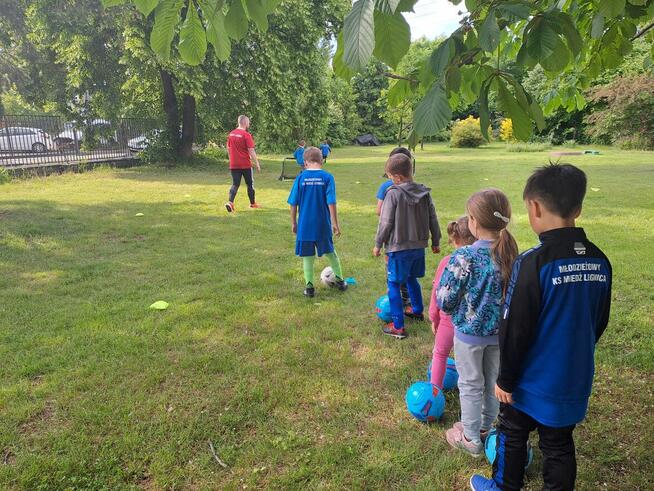 Poszukiwany WYCHOWAWCA