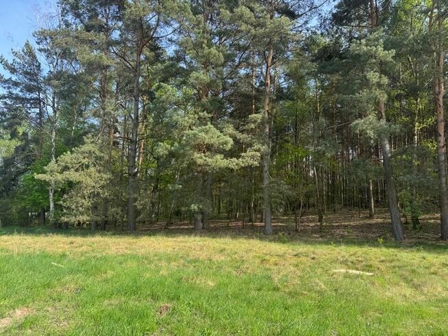 Działka na sprzedaż Zielona Góra Racula