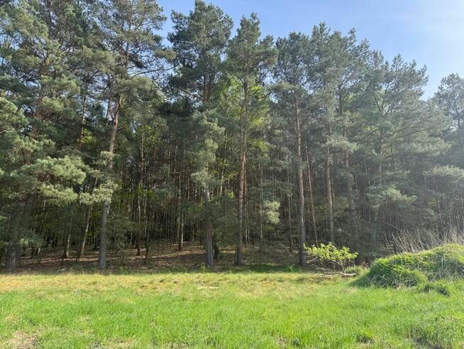 Działka na sprzedaż Zielona Góra Racula