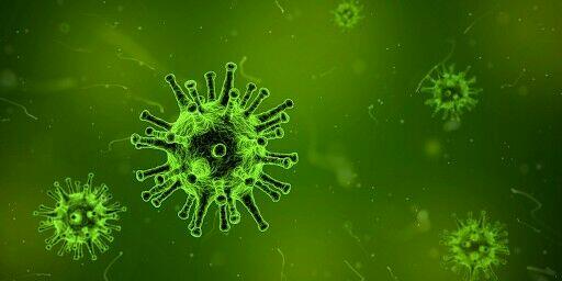 Ozonowanie - Dezynfekcja po zgonie - usuwanie krwi bakterii