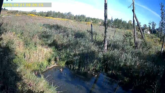 Przyjmę ziemię, gruz.