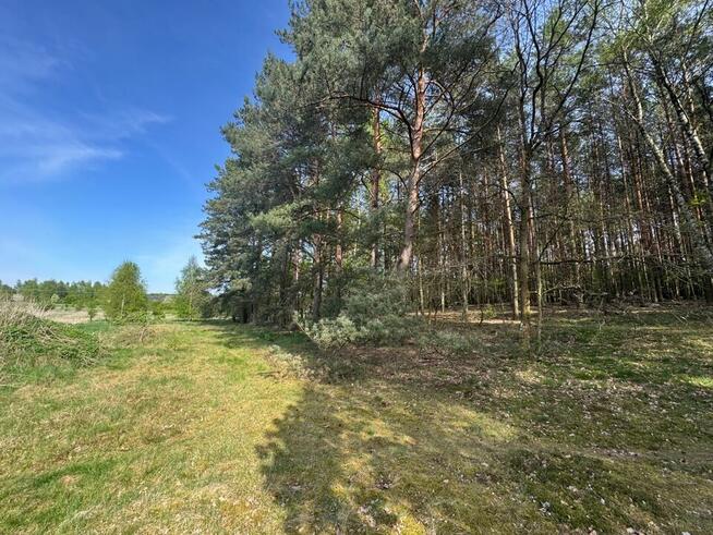 Działka na sprzedaż Zielona Góra Racula