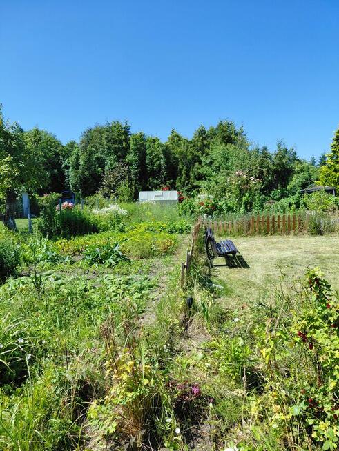 Działki ogrodowe Rod