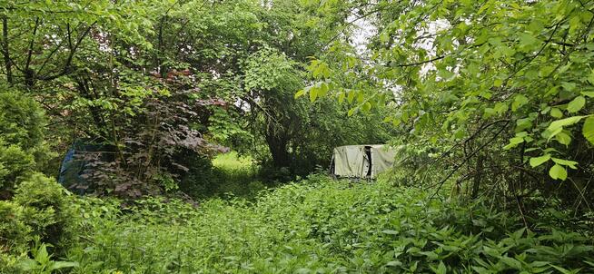 Działka zabudowana Zawichost