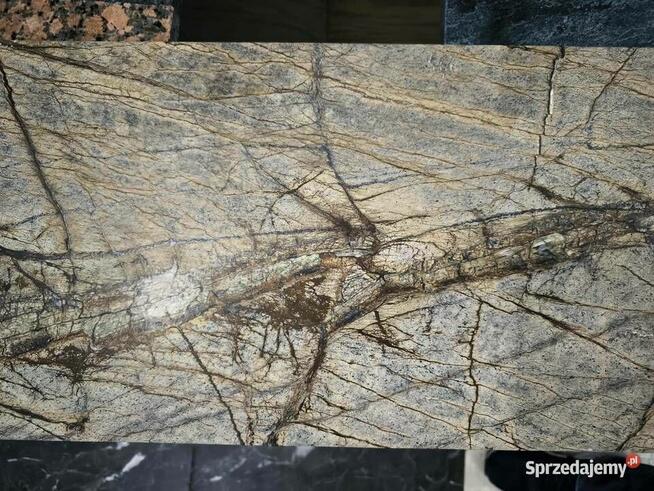 Płytki Marmur Rain Forest Brown szczotkowany 61x30,5x1,2 cm