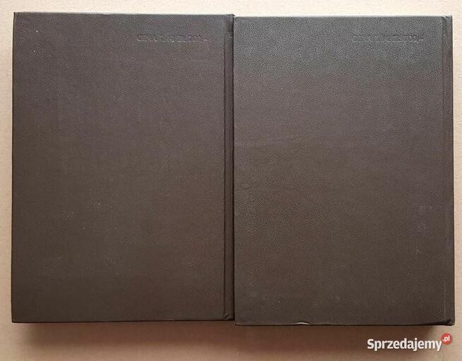 Wielki Słownik Polsko-Angielski