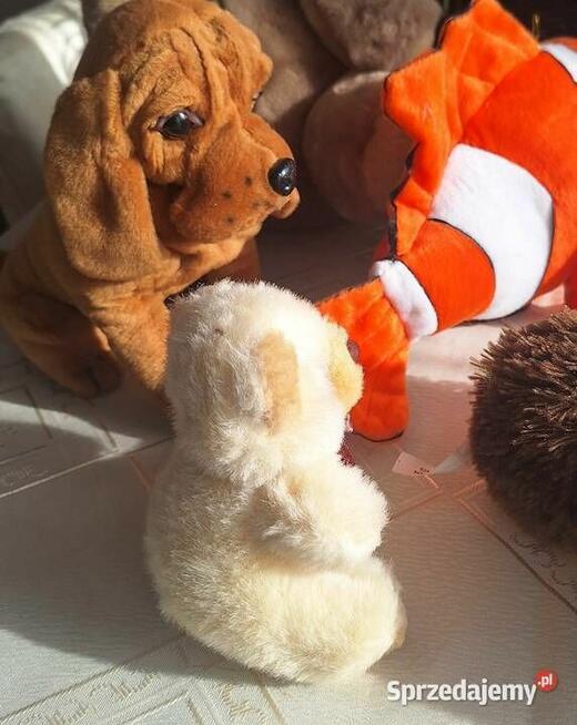 Zestaw maskotek, darmowa wysyłka.