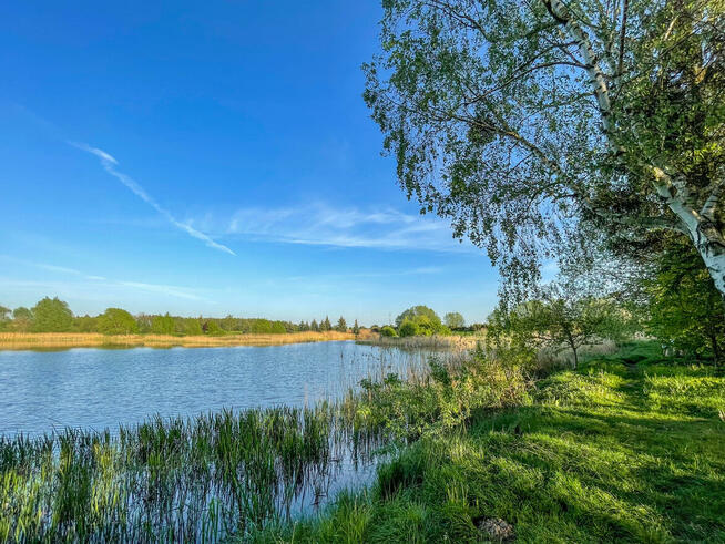 Cisza i spokój 30 minut od Poznania, dom w otoczeniu zieleni