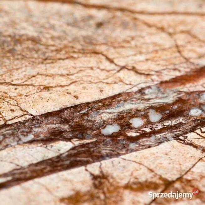 Płytki Marmur Rain Forest Brown szczotkowany 61x30,5x1,2 cm