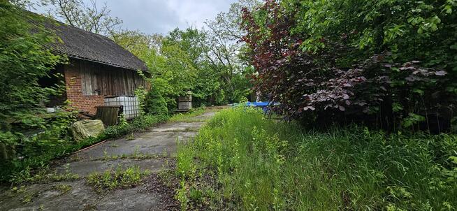 Działka zabudowana Zawichost