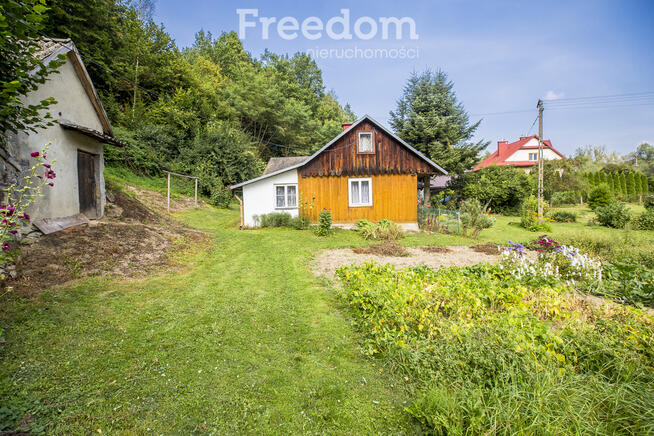 Siedlisko z dużą działką w Dubiecku