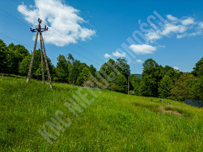 Dwie działki w spokojnej okolicy