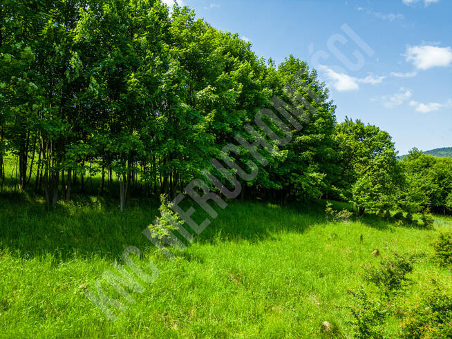 Dwie działki w spokojnej okolicy
