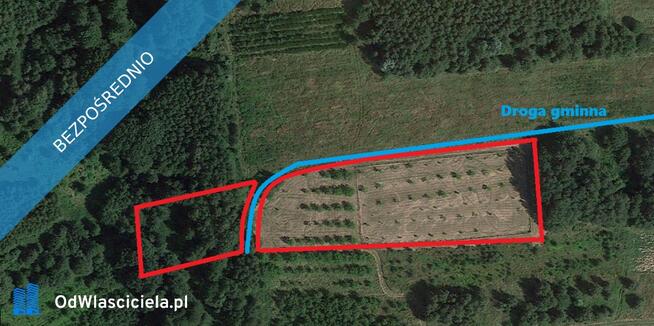 Wyjątkowa działka w sercu natury – Albigowa, 77 arów ciszy i przestrzeni