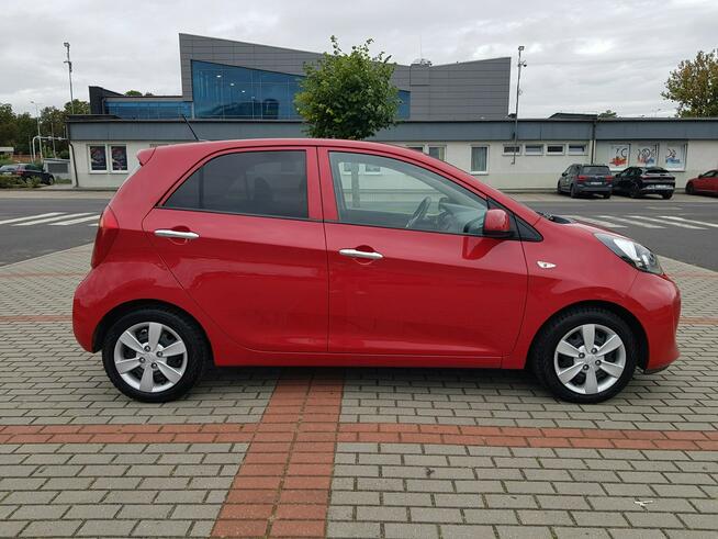 Kia Picanto 1,2 Benzyna Nawigacja Kamera Klimatronik Zarejestrowany Gwarancja