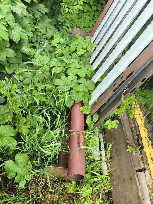 Brama 3 m plus słupki z zawiasami