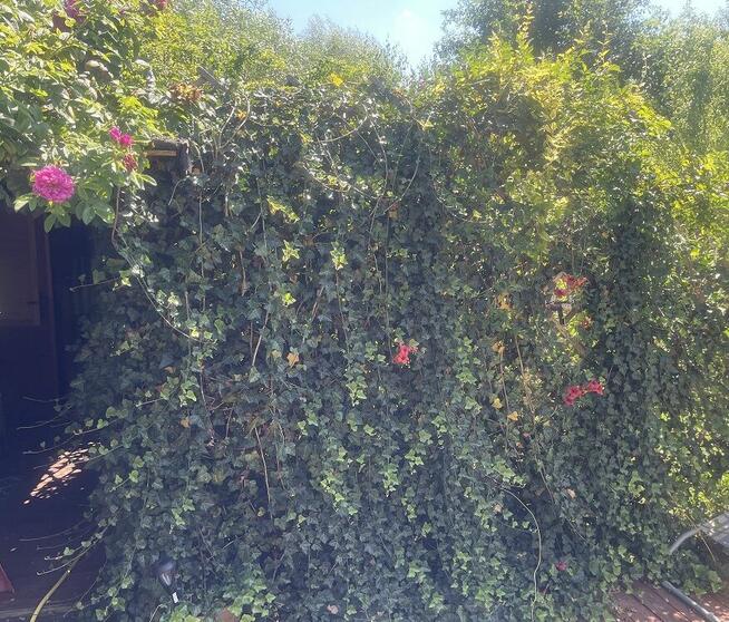 Sprzedam działkę rekreacyjną Jaroszowice nad Skawą