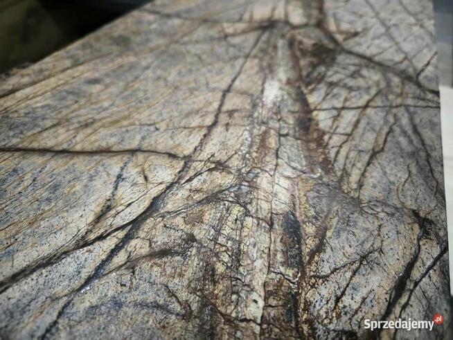 Płytki Marmur Rain Forest Brown szczotkowany 61x30,5x1,2 cm